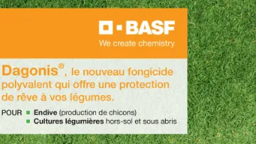 dagonis fongicide basf